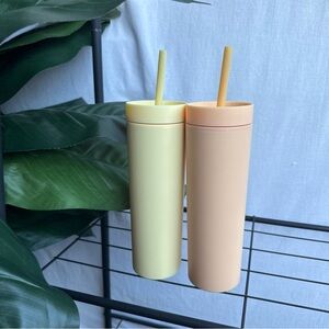 Set of 2 16OZ Pastel Strata Cups with Straws
